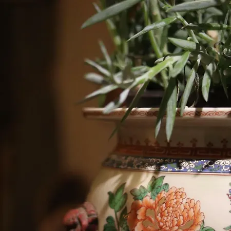 度假居 Le Boudoir